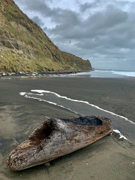 Nice Log on Black Sand Print