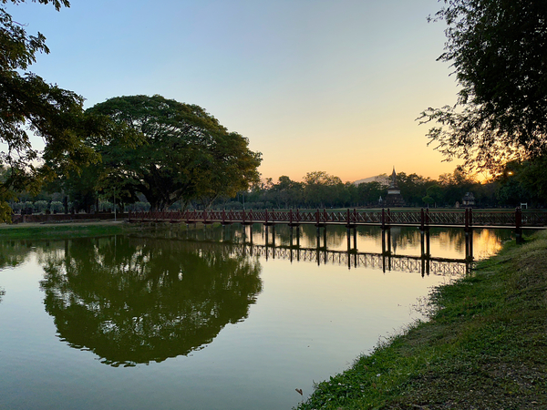Nice Tree Reflection on the Lake Print