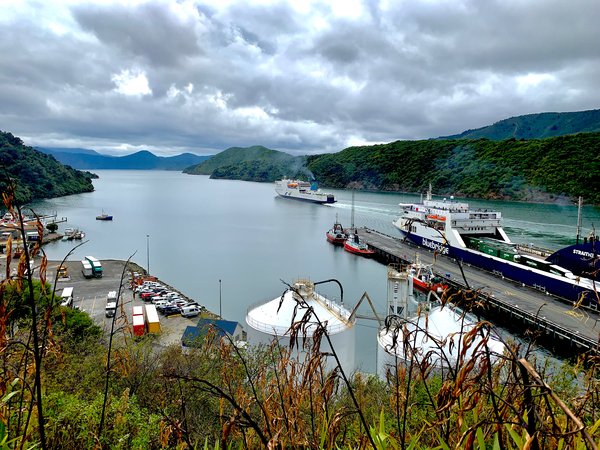 Pictons Ferry New Zealand Print