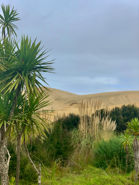 Sand Dunes Ahead Print