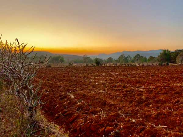 Sunset Over the Red Soil  Print