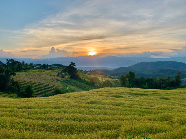 Sunset Over the Rice Fields 2 Print