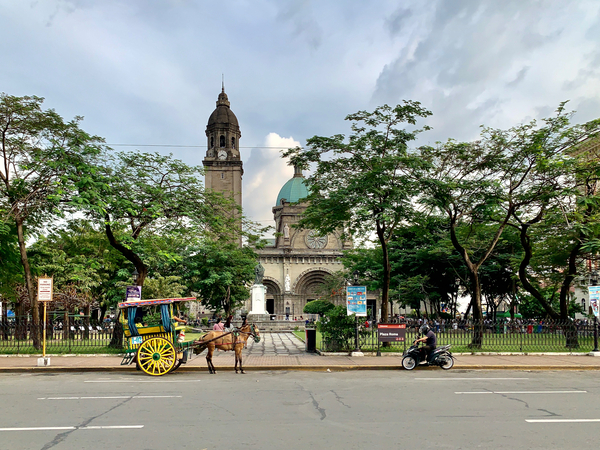 The Manila Cathedral Print