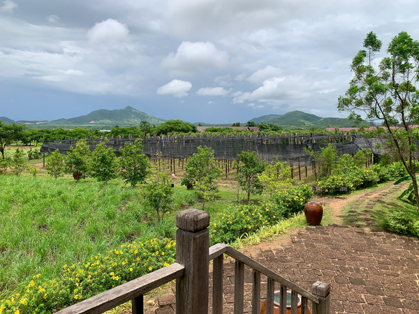 The Pepper Plantations Print