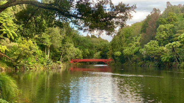 The Red Bridge Print
