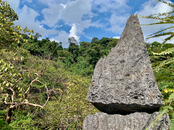 The Rock Viewpoint Laos Print