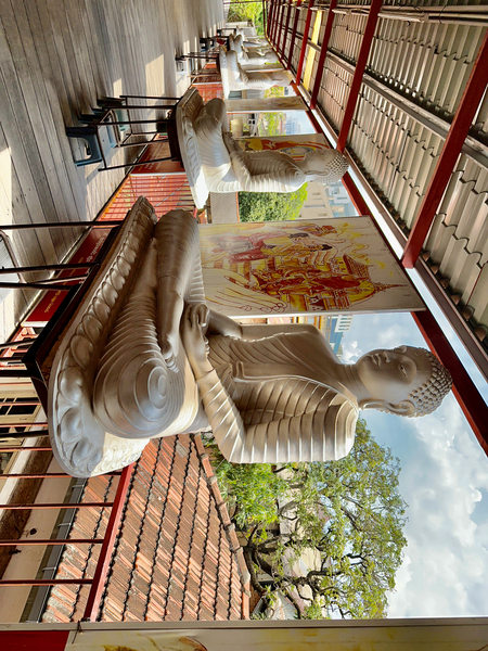 The White Buddhas Print