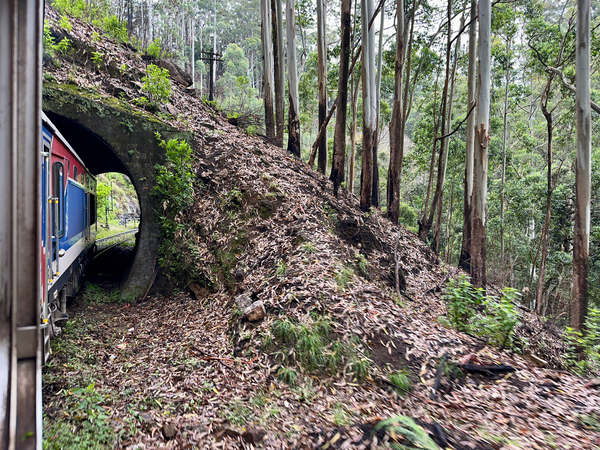 Train Through the Mini Tunnel Print