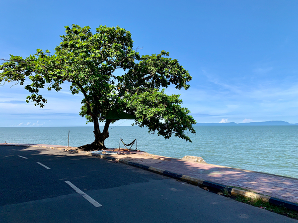 Tree in the Curve Print