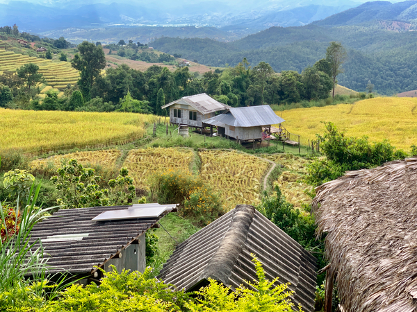 Village in the Rice Fields 2 Print