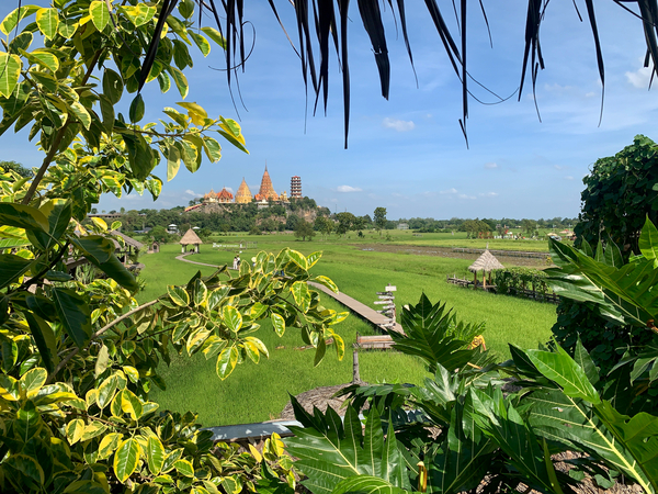 Wat Tham Suea 6 Print
