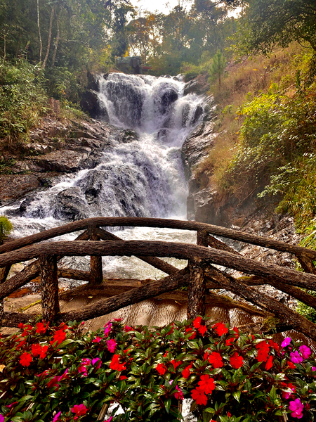 Waterfall and Red Flowers Print