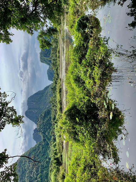 Wetland and Mountains Print