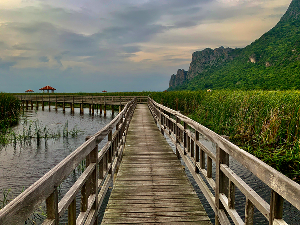 Wooden Walkway 2 Print