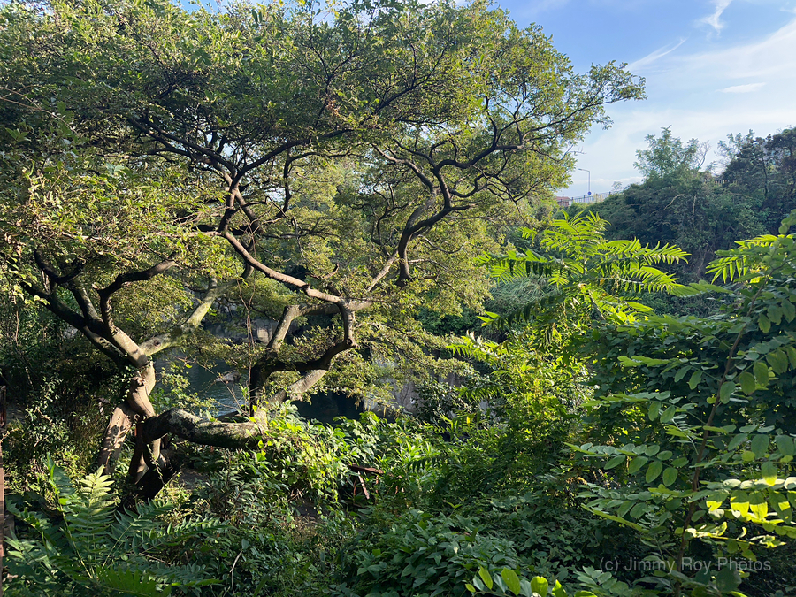 Around Jeju City South Korea 8  Print