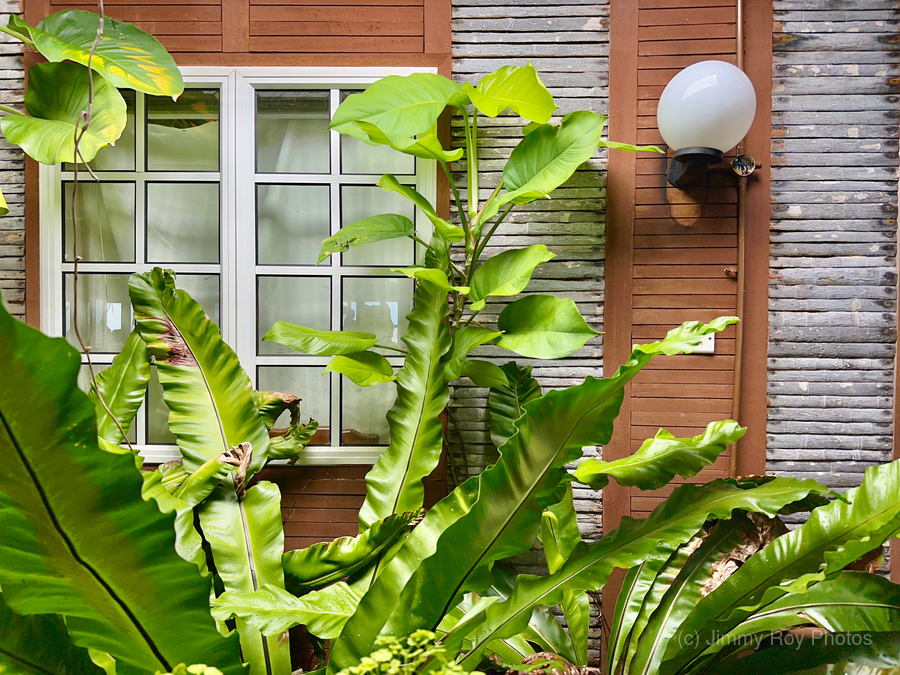 Maboul Island 19  Print