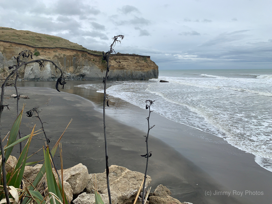 Black Sand on the Coast 2  Print