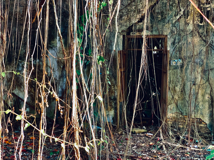 Find the Entrance  Print