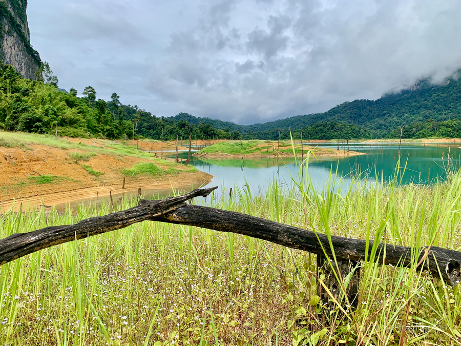 Khao Sok National Park 1  Print