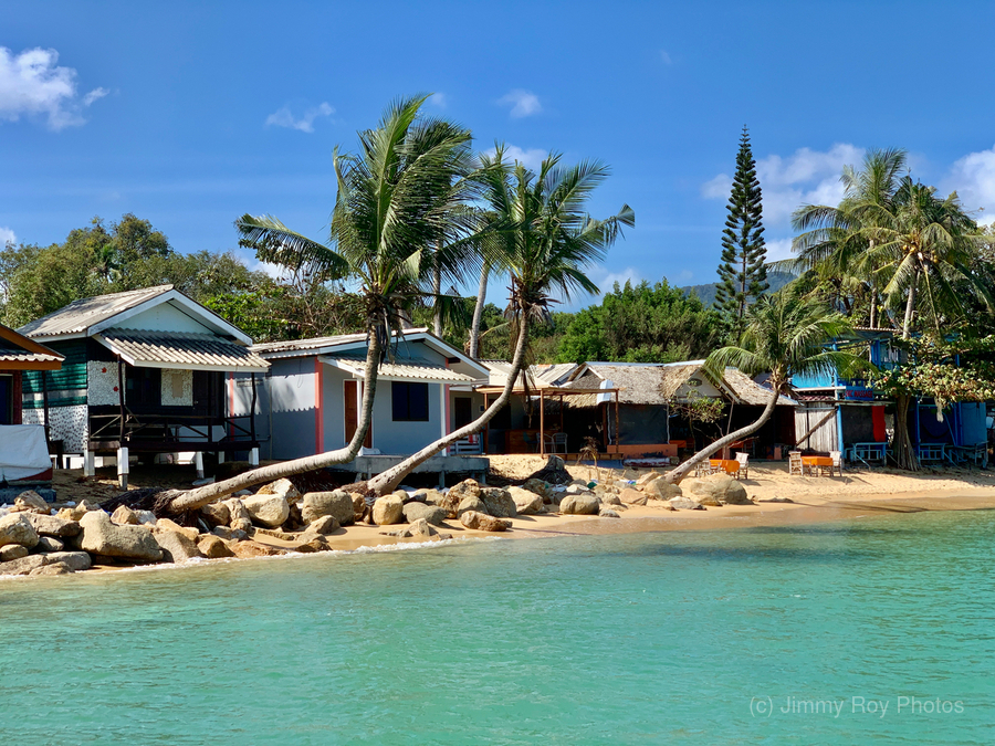 L Shaped Palm Trees Beach  Print