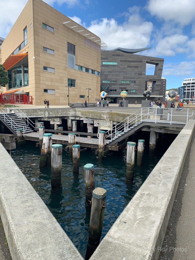 Museum of New Zealand Te Papa Tongarewa  Print