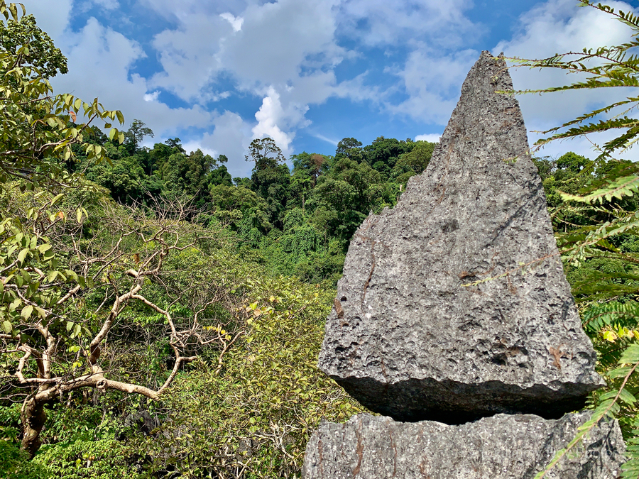 The Rock Viewpoint Laos  Print