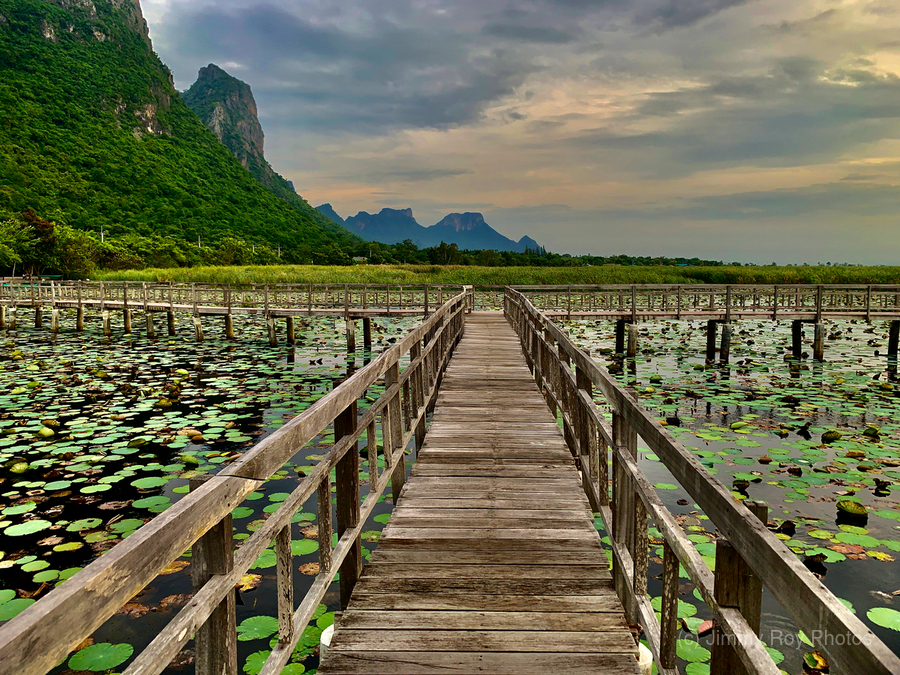 Wooden Walkway  Print