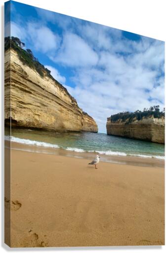 Bird on the Beach Canvas Print
