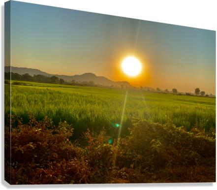 Sunset Over the Field Canvas Print