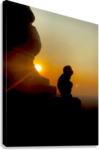 Enlightened Monkey at Sunset Canvas Print