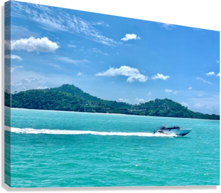 Fast Boat Canvas Print