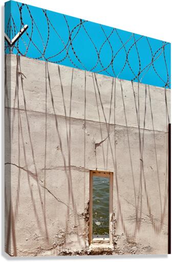 The Wall Canvas Print