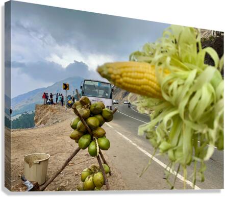 Corn  Coconuts Canvas Print