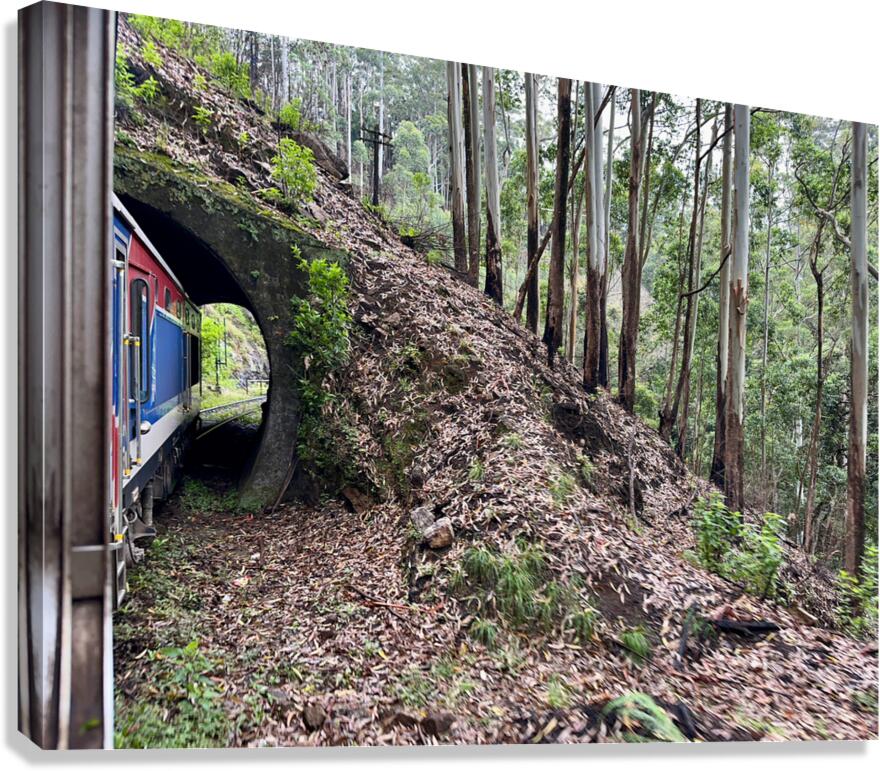 Train Through the Mini Tunnel Canvas Print