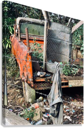 Tail Gate Chaos Canvas Print