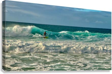 The Surfer 2 Canvas Print