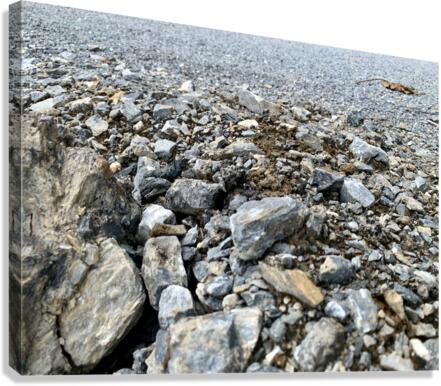 Rocky road Canvas Print