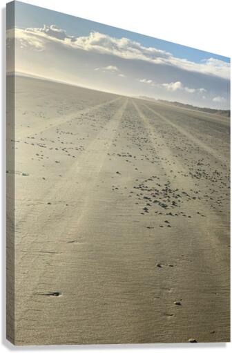 Infinite Sandy Beach Canvas Print