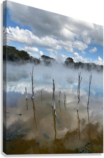 Branches reflections Canvas Print