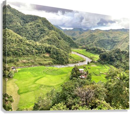 Rice Valley Canvas Print