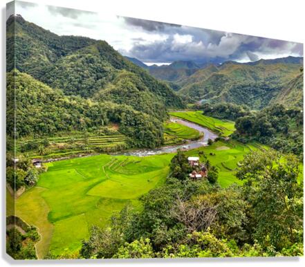 Rice Valley 2 Canvas Print