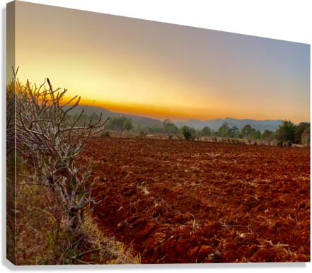 Sunset Over the Red Soil  Canvas Print