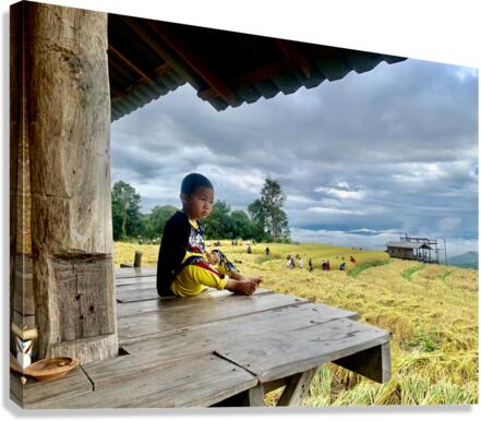 Boy Looking Over the Rice Field Canvas Print