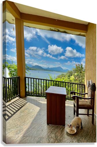 Cat Eating with a View Canvas Print