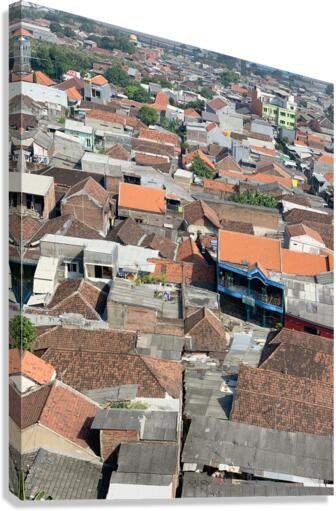 All the Roofs Canvas Print