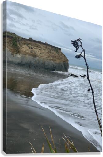 Black Sand on the Coast Canvas Print