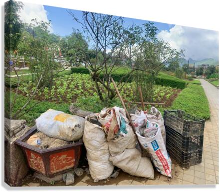 Lets Clean the Park Canvas Print
