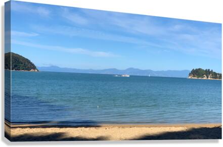 Fast Boat From the Beach Canvas Print