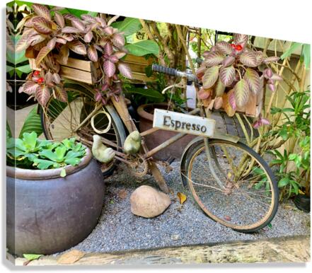 Espresso Bike Canvas Print