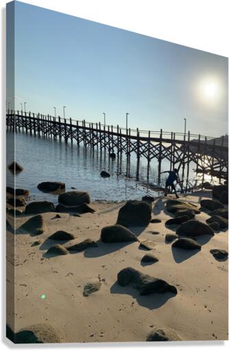 Rock Throwing by the Bamboo Bridge Canvas Print